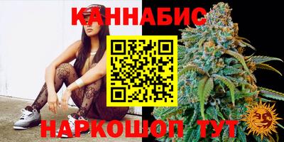 спиды Новозыбков