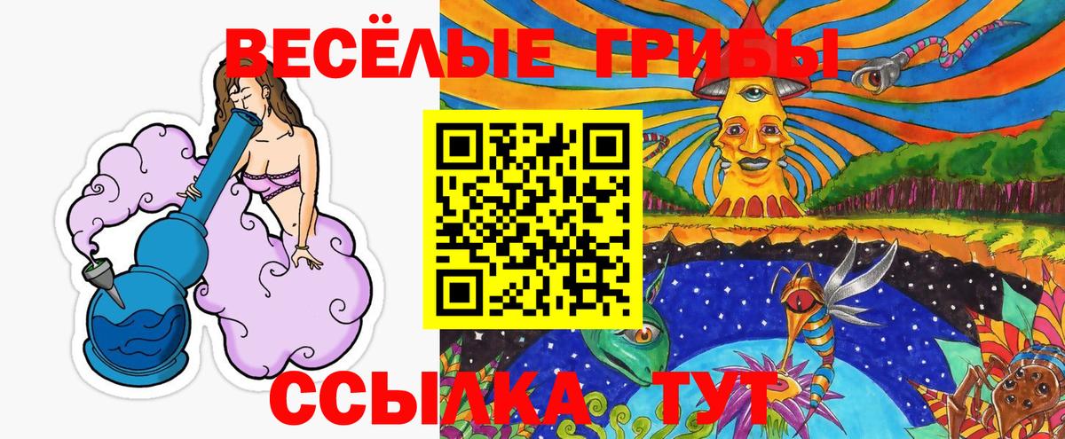 Удомля  Галлюциногенные грибы ЛСД  Вход с VPN 